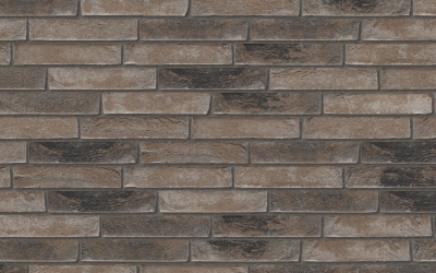 파구스 그리스 느와르