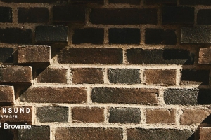 EW3479 브라우니