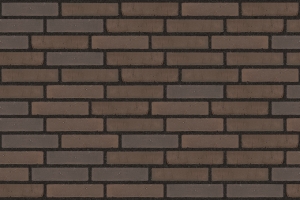 EW2422 브라운