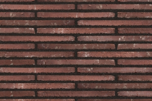 로드 스페셜 LF